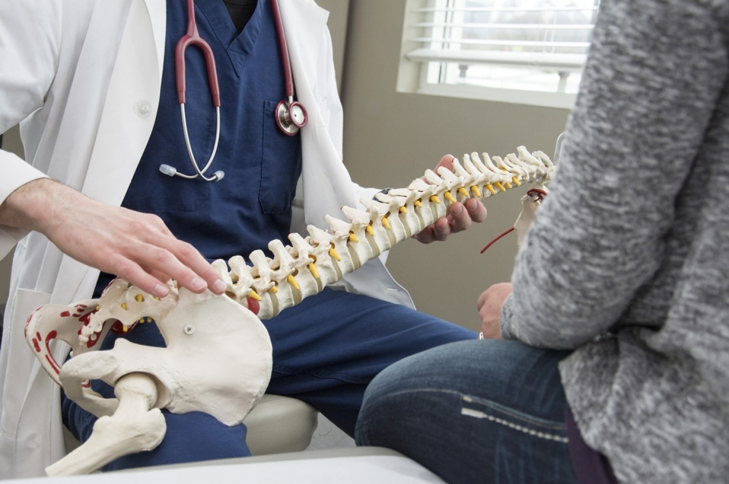 role-of-chiropractic